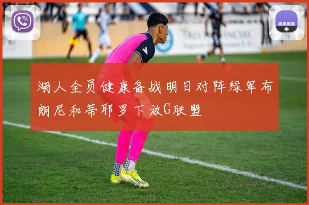 湖人全员健康备战明日对阵绿军布朗尼和蒂耶罗下放G联盟