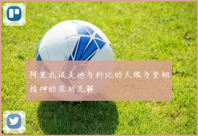 阿里扎谈麦迪与科比的天赋与坚韧精神的深刻见解