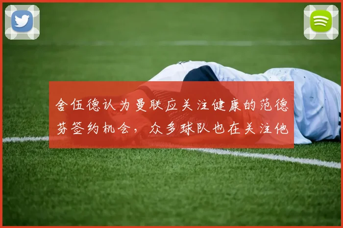 舍伍德认为曼联应关注健康的范德芬签约机会，众多球队也在关注他