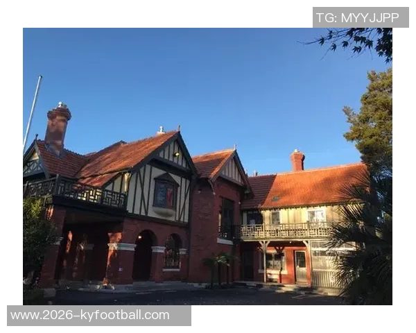 土耳其国家队门将厄泽尔擅自离营森格泽尔紧急补招入队